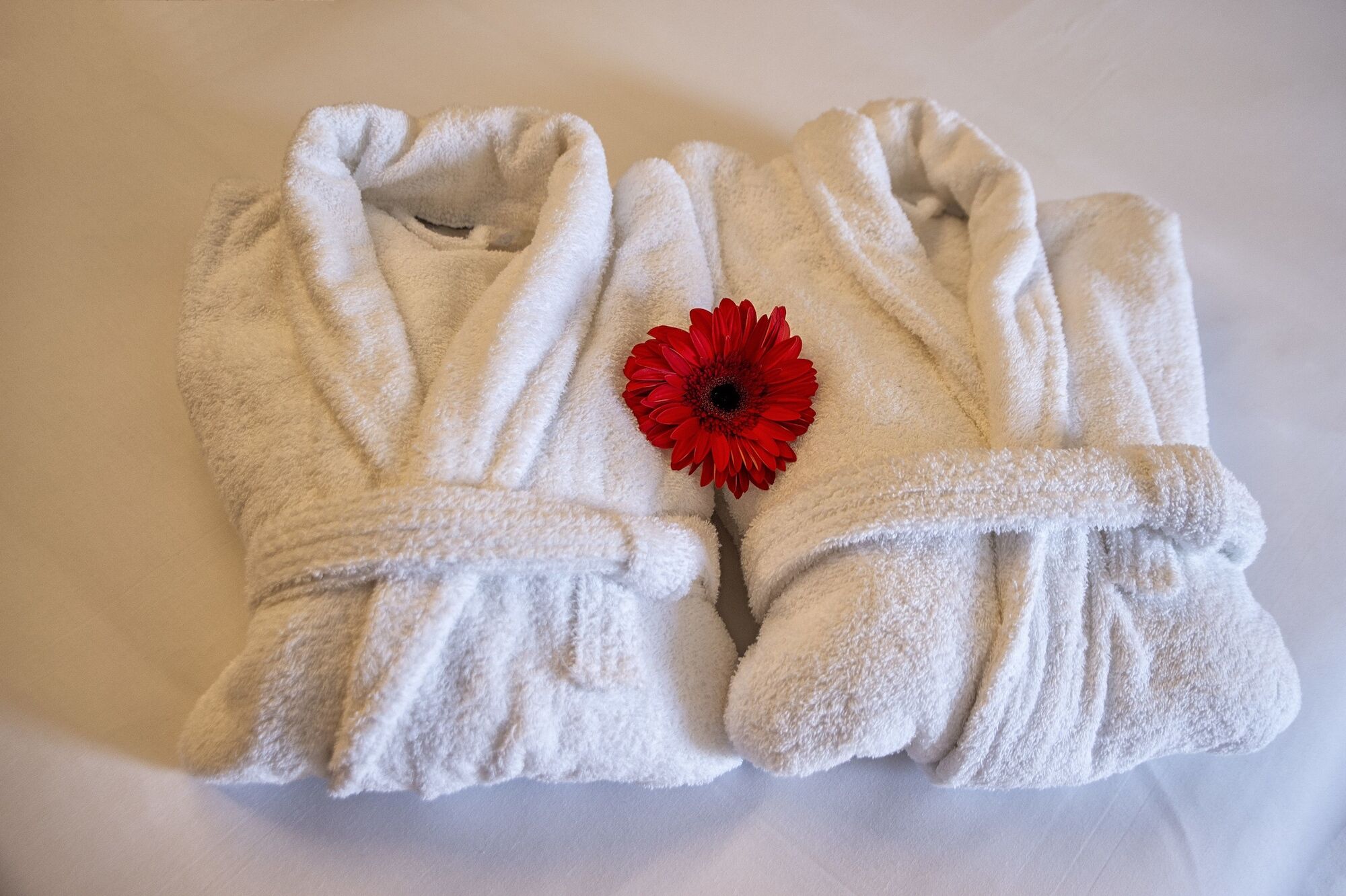 Abc Hotel Porto - Boavista エクステリア 写真